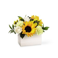 The FTD Sweet as Lemonade Bouquet from Pennycrest Floral in Archbold, OH